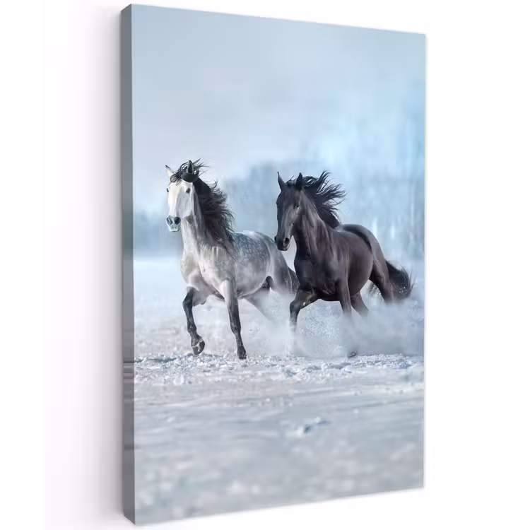 Paarden - Winter - Dieren - Natuur - Sneeuw Tuinposter op houten frame 2 cm dik klein -3d