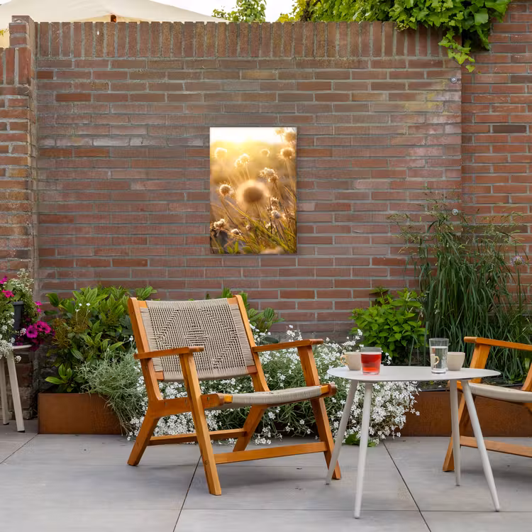 Verlichte zaadhoofden in de avondzon Tuinposter op houten frame 2 cm dik klein -sfeer3