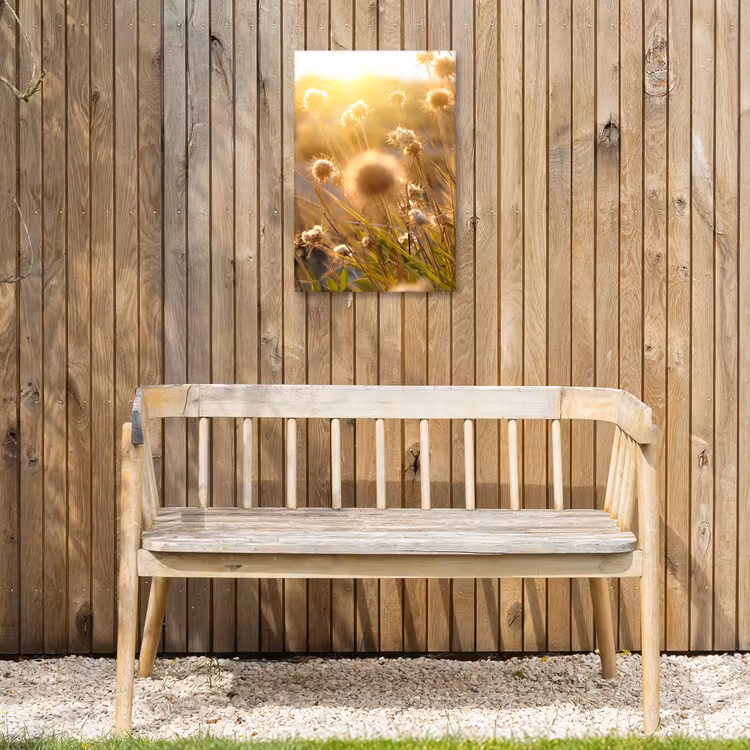 Verlichte zaadhoofden in de avondzon Tuinposter op houten frame 2 cm dik klein -sfeer4