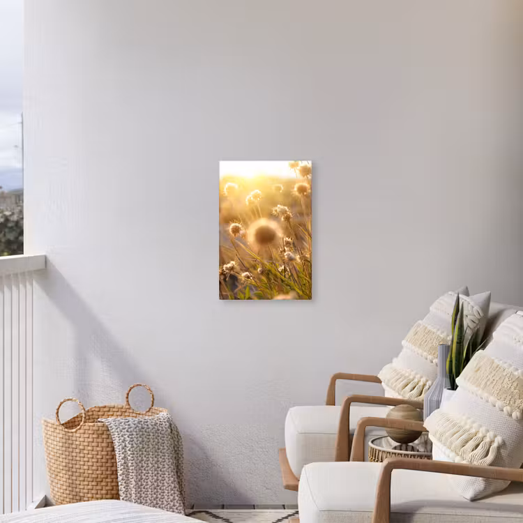 Verlichte zaadhoofden in de avondzon Tuinposter op houten frame 2 cm dik klein -sfeer1