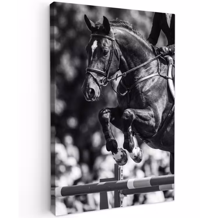 Springen - Paard - Zwart - Wit Tuinposter op houten frame 2 cm dik klein -3d