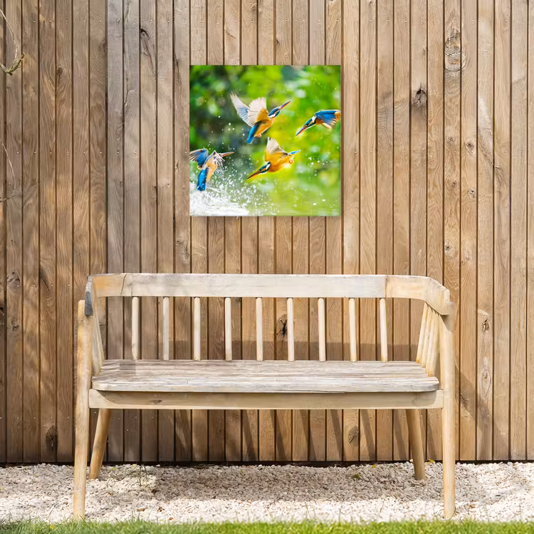 IJsvogels vliegen in het water Tuinposter op houten frame 2 cm dik klein -sfeer4