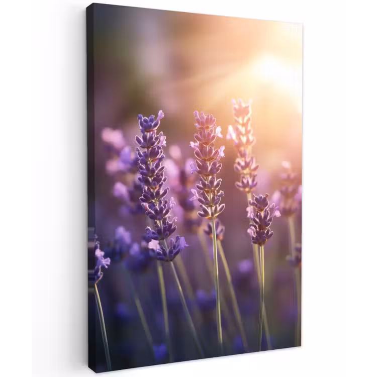 Lavendelbloemen - Paars - Zonlicht Tuinposter op houten frame 2 cm dik klein -3d