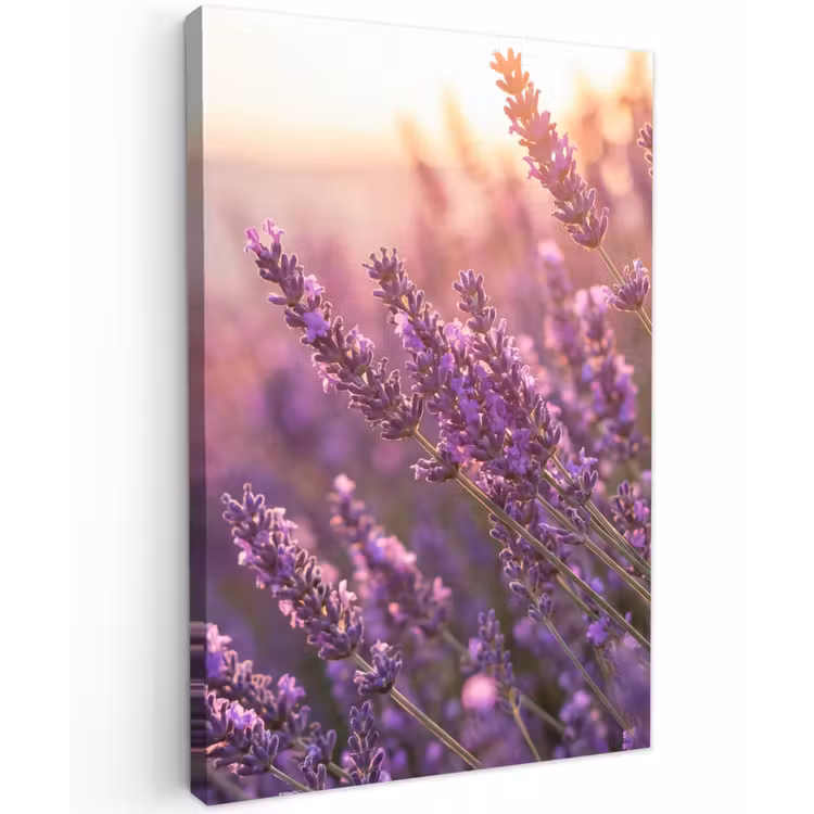 Lavendel - Paars - Zonlicht Tuinposter op houten frame 2 cm dik klein -3d
