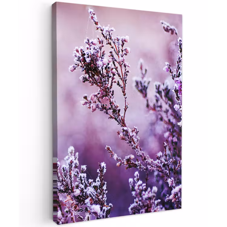 Lavendel - Winter - Bloemen - Paars Tuinposter op houten frame 2 cm dik klein -3d
