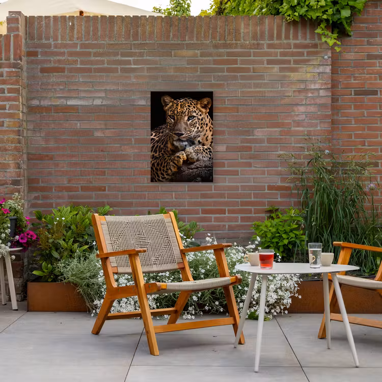 Luipaard in rust Tuinposter op houten frame 2 cm dik klein -sfeer3