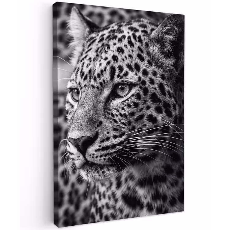 Luipaard - Zwart - Wit - Oog Tuinposter op houten frame 2 cm dik klein -3d