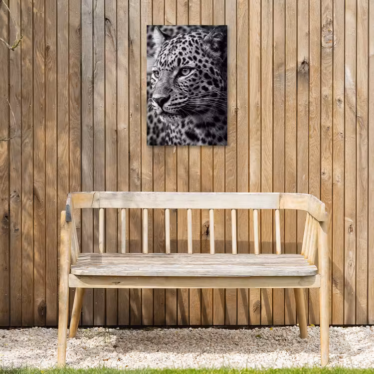 Luipaard - Zwart - Wit - Oog Tuinposter op houten frame 2 cm dik klein -sfeer4