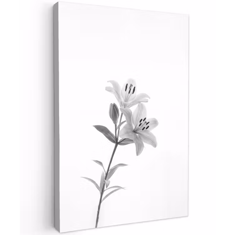 Lelies - Elegant - Zwart - Wit Tuinposter op houten frame 2 cm dik klein -3d