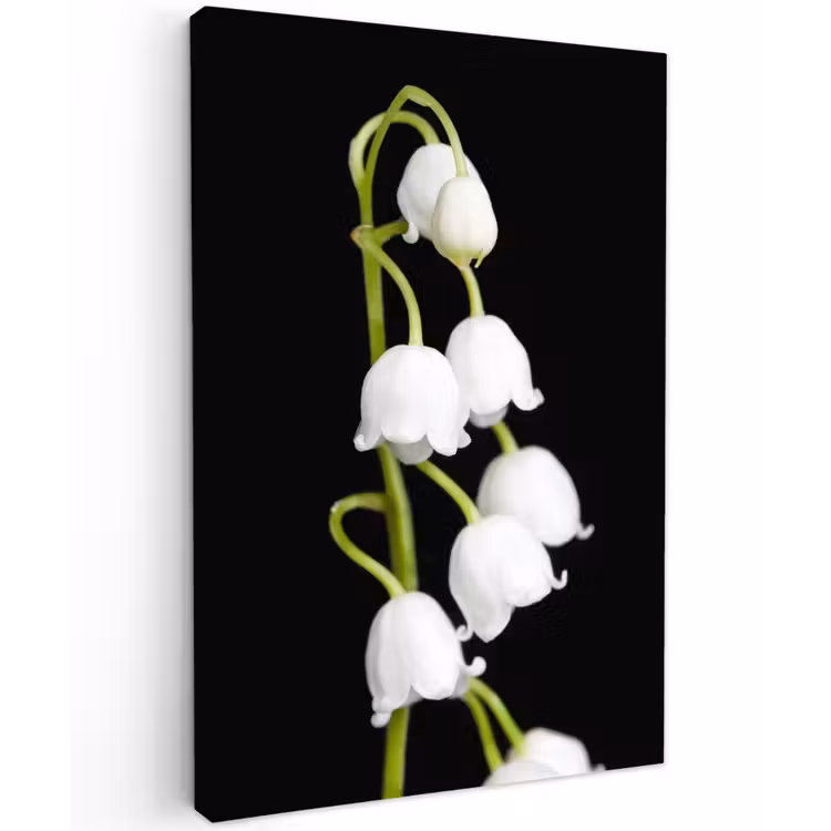 Lelietjes van dalen - Bloemen - Zwart - Flora Tuinposter op houten frame 2 cm dik klein -3d