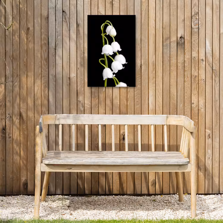 Lelietjes van dalen - Bloemen - Zwart - Flora Tuinposter op houten frame 2 cm dik klein -sfeer4