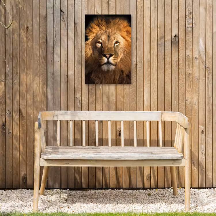 Leeuw - Dieren - Zwart - Licht - Bruin - Portret Tuinposter op houten frame 2 cm dik klein -sfeer4