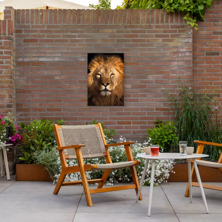 Leeuw in het avondlicht Tuinposter op houten frame 2 cm dik klein -sfeer3