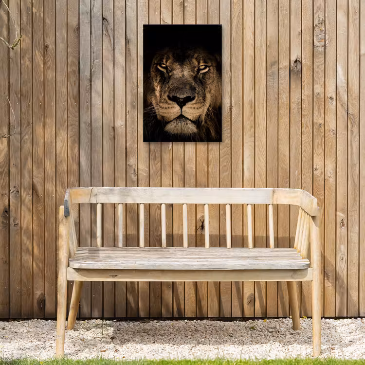 Leeuw in het schaduwlicht Tuinposter op houten frame 2 cm dik klein -sfeer4