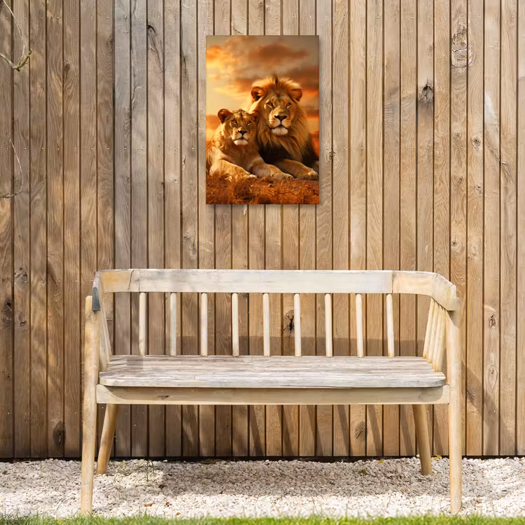 Leeuwenpaar bij zonsondergang Tuinposter op houten frame 2 cm dik klein -sfeer4