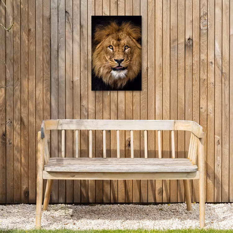 Leeuw - Portret - Zwart - Dieren Tuinposter op houten frame 2 cm dik klein -sfeer4