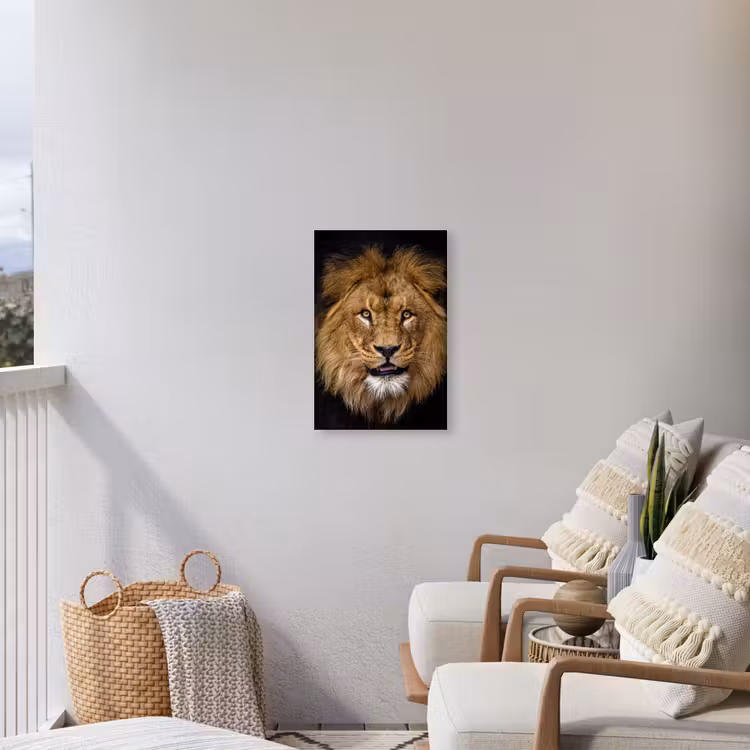 Leeuw - Portret - Zwart - Dieren Tuinposter op houten frame 2 cm dik klein -sfeer1