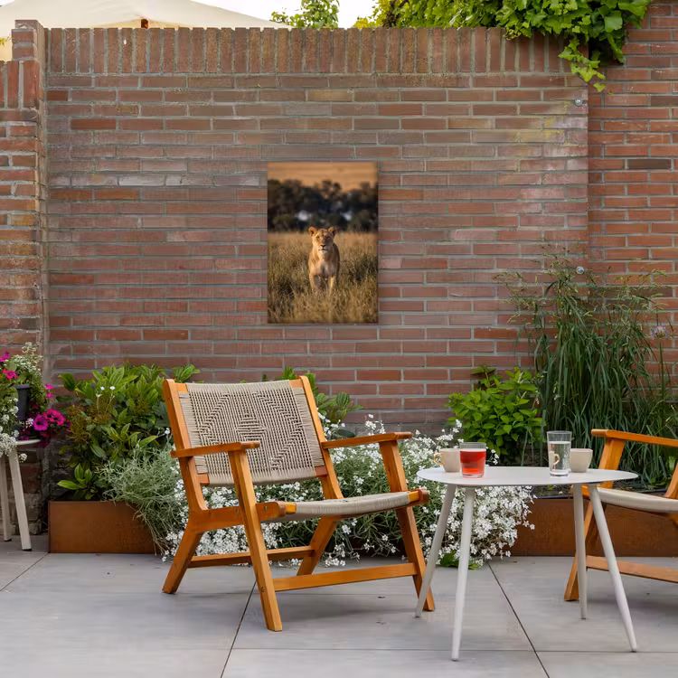Leeuwin - Gras - Geel Tuinposter op houten frame 2 cm dik klein -sfeer3