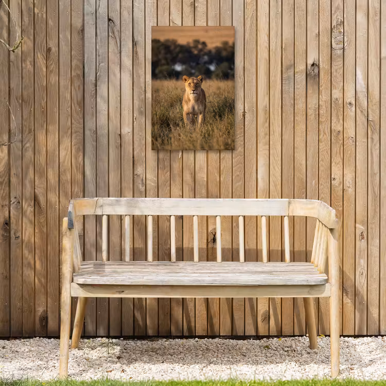 Leeuwin - Gras - Geel Tuinposter op houten frame 2 cm dik klein -sfeer4