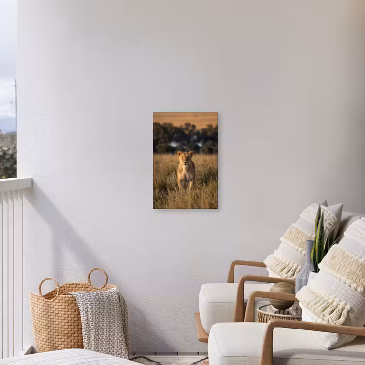 Leeuwin - Gras - Geel Tuinposter op houten frame 2 cm dik klein -sfeer1