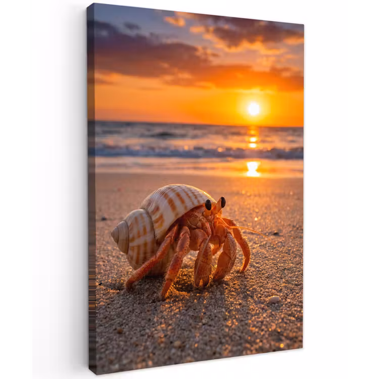 Kreeft - Strand - Natuur - Zonsondergang - Oranje Tuinposter op houten frame 2 cm dik klein -3d
