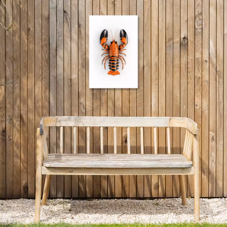 Kreeft - Zwart - Oranje - Wit - Uniek Tuinposter op houten frame 2 cm dik klein -sfeer4