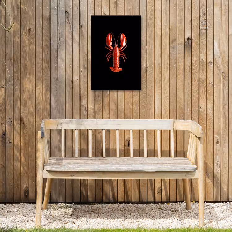 Kreeft - Glossier Rood - Zwart Tuinposter op houten frame 2 cm dik klein -sfeer4