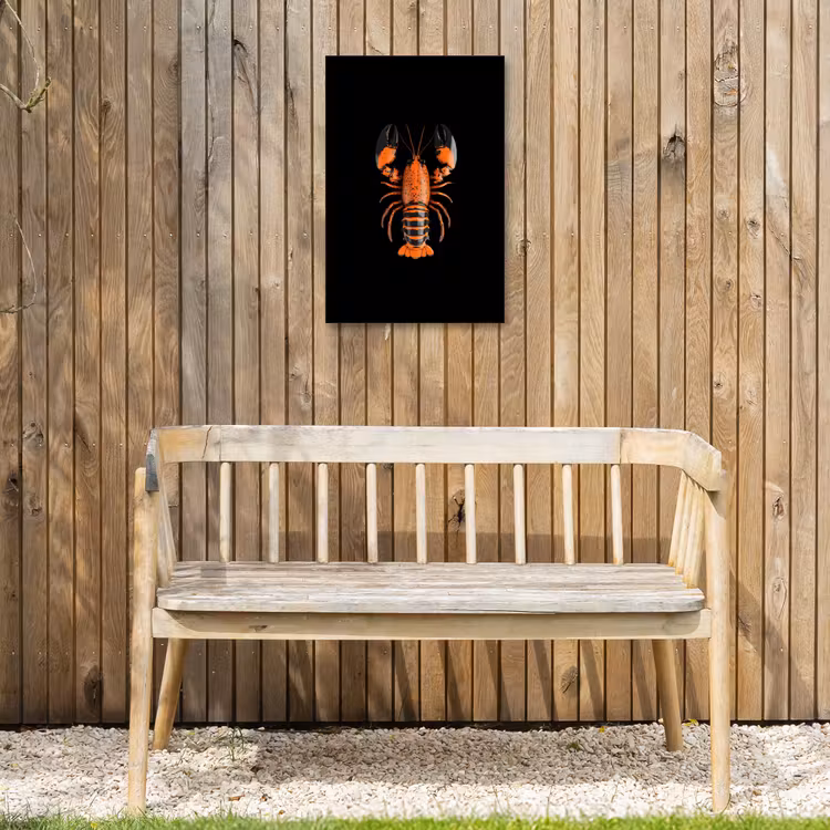 Kreeft - Oranje - Zwart - Modern Tuinposter op houten frame 2 cm dik klein -sfeer4