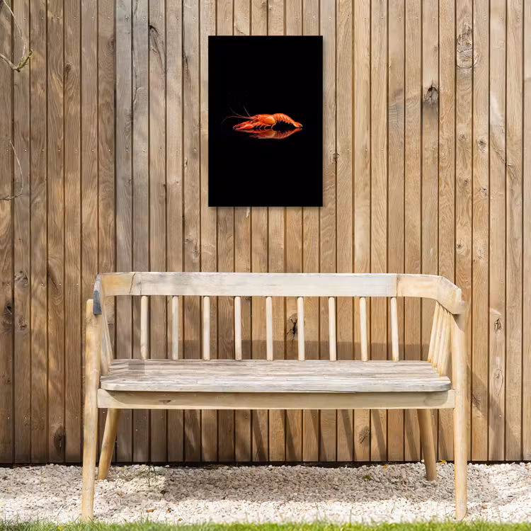 Kreeft - Oranje - Zwart - Opvallend Tuinposter op houten frame 2 cm dik klein -sfeer4