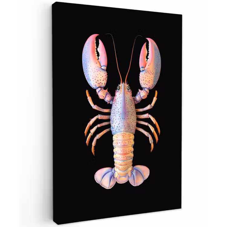 Kreeft - Roze - Zacht - Zwart Tuinposter op houten frame 2 cm dik klein -3d