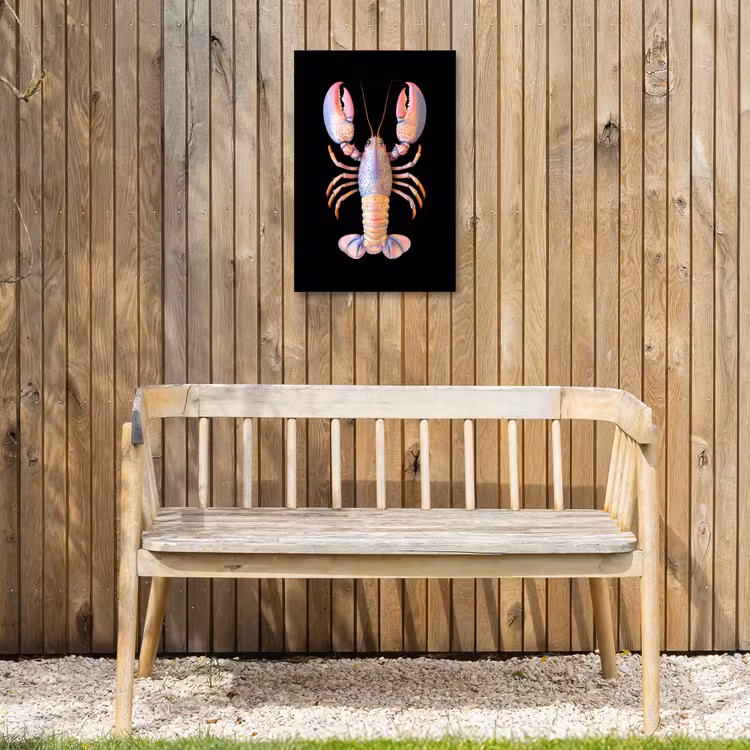 Kreeft - Roze - Zacht - Zwart Tuinposter op houten frame 2 cm dik klein -sfeer4