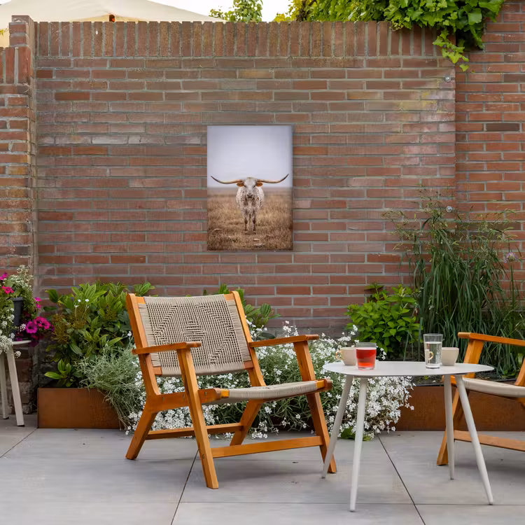 Longhorn - Grasveld - Dier Tuinposter op houten frame 2 cm dik klein -sfeer3