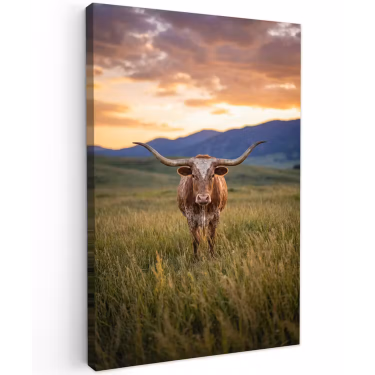 Longhorn - Landschap - Zonsondergang Tuinposter op houten frame 2 cm dik klein -3d