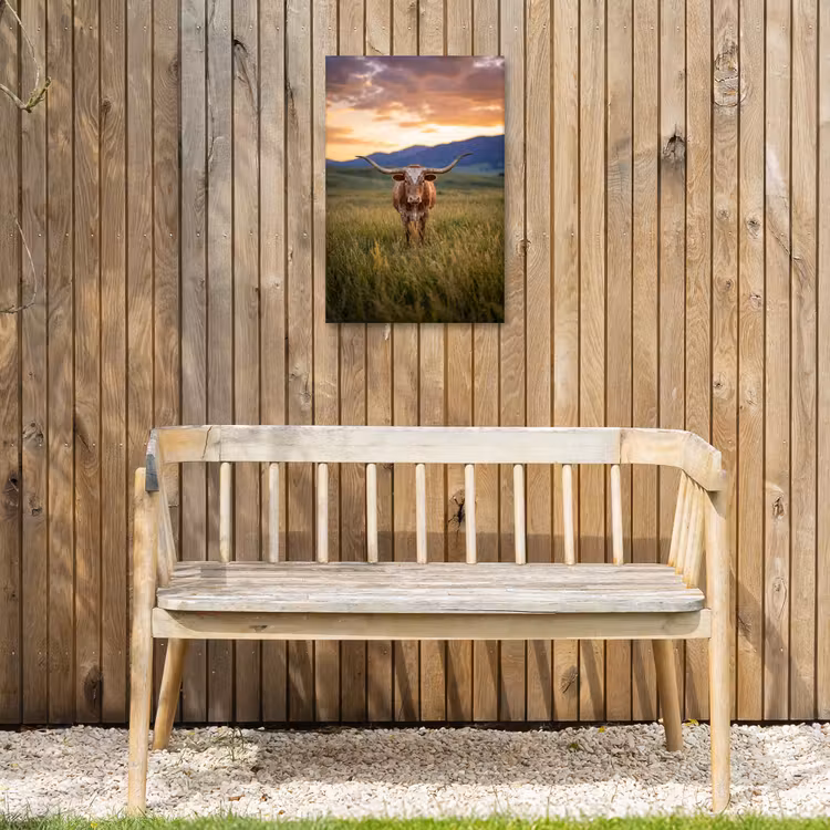 Longhorn - Landschap - Zonsondergang Tuinposter op houten frame 2 cm dik klein -sfeer4