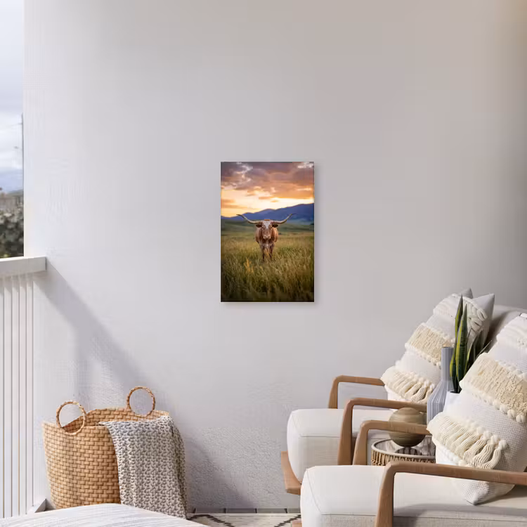 Longhorn - Landschap - Zonsondergang Tuinposter op houten frame 2 cm dik klein -sfeer1