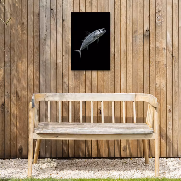 Makreel - Vis - Zwart Tuinposter op houten frame 2 cm dik klein -sfeer4