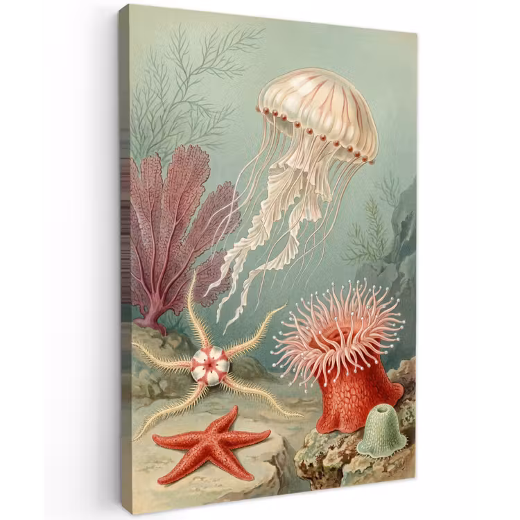 Zeeleven - Kwal - Onderwater - Illustratie - Beige Tuinposter op houten frame 2 cm dik klein -3d
