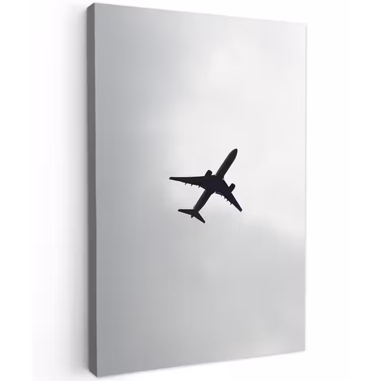 Minimalistisch - Silhouet - Zwart - Vliegtuig Tuinposter op houten frame 2 cm dik klein -3d