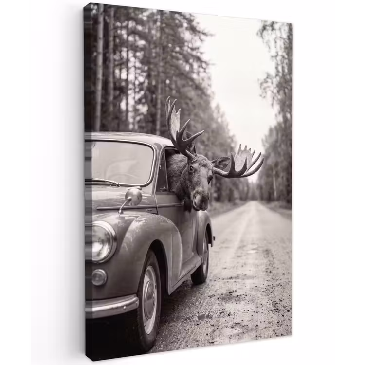 Eland - Auto - Gewei - Zwart - Wit Tuinposter op houten frame 2 cm dik klein -3d