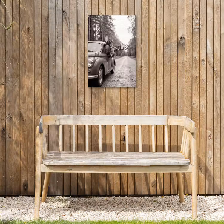 Eland - Auto - Gewei - Zwart - Wit Tuinposter op houten frame 2 cm dik klein -sfeer4