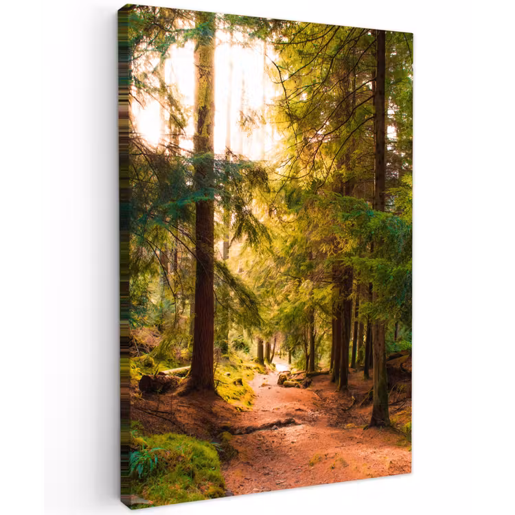 Mossig bospad Tuinposter op houten frame 2 cm dik klein -3d