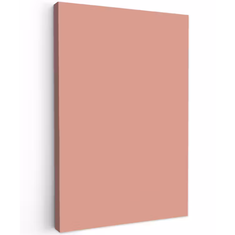 Muted - Salmon - Koraal Tuinposter op houten frame 2 cm dik klein 841 -3d