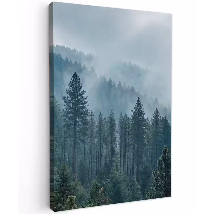 Naaldwoud - Bergen - Mist Tuinposter op houten frame 2 cm dik klein -3d