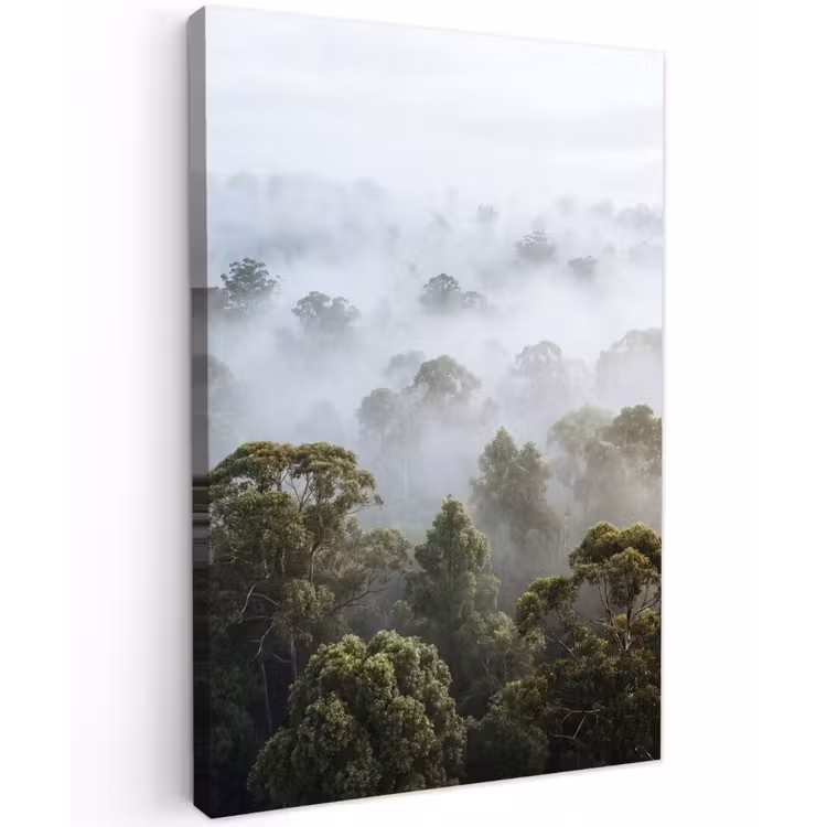 Natuur - Mist - Bos - Ochtend - Goud Tuinposter op houten frame 2 cm dik klein -3d