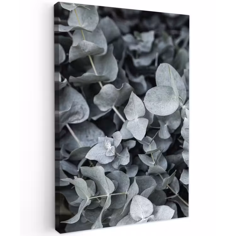 Natuur - Planten - Eucalyptus - Bladeren Tuinposter op houten frame 2 cm dik klein -3d