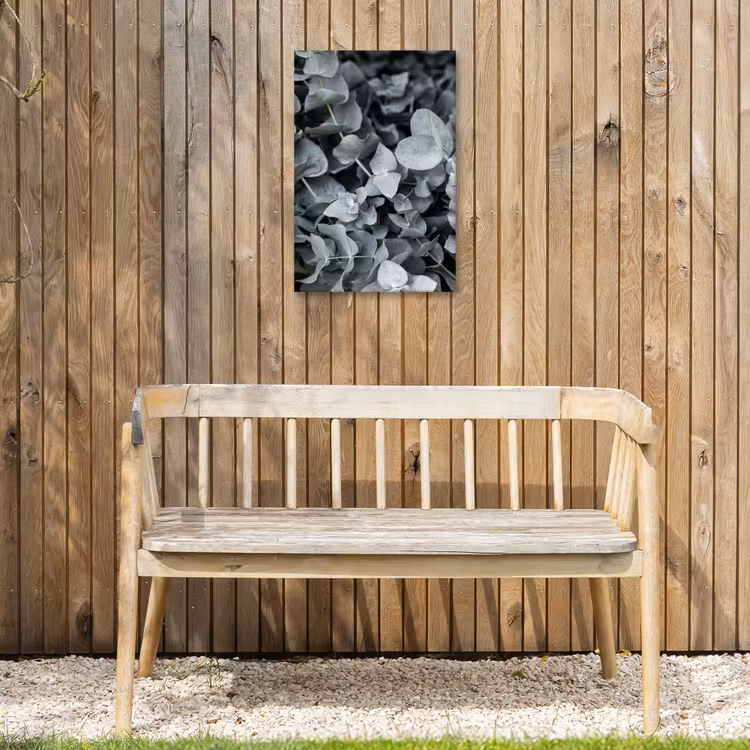 Natuur - Planten - Eucalyptus - Bladeren Tuinposter op houten frame 2 cm dik klein -sfeer4