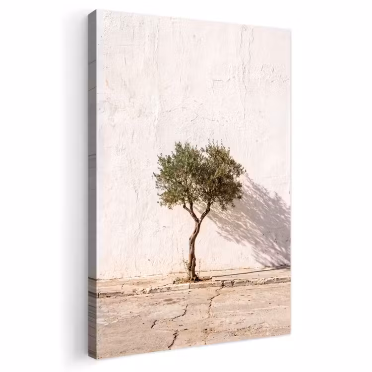 Outdoor Canvas Print - Olive Tree - Wall - White - Olijfboom - muur - wit Tuinposter op houten frame 2 cm dik klein