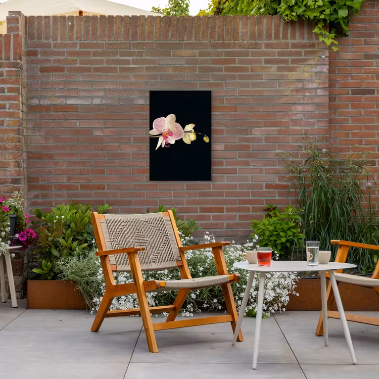 Orchidee - Bloemen - Zwart - Roze - Knoppen Tuinposter op houten frame 2 cm dik klein -sfeer3