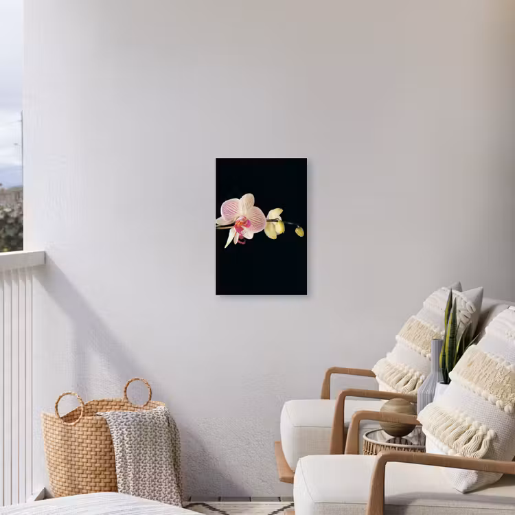 Orchidee - Bloemen - Zwart - Roze - Knoppen Tuinposter op houten frame 2 cm dik klein -sfeer1