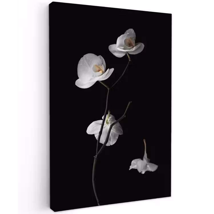 Orchidee - Bloemen - Zwart - Wit - Stilleven Tuinposter op houten frame 2 cm dik klein -3d
